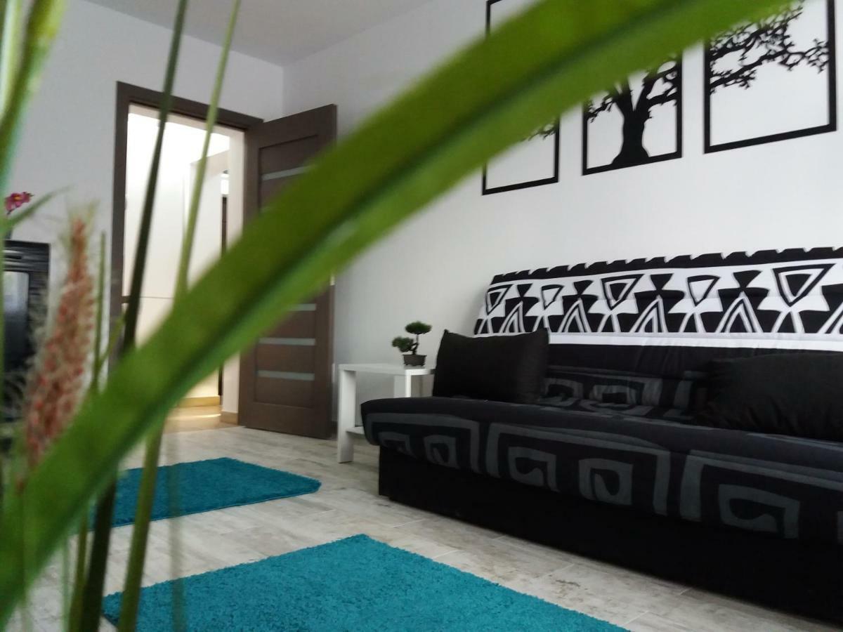 Apartament Elefant Tg. Ocna Apartman Aknavásár Kültér fotó