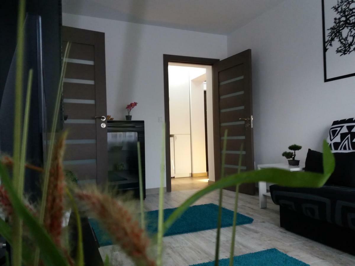 Apartament Elefant Tg. Ocna Apartman Aknavásár Kültér fotó